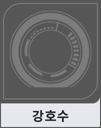 강호수